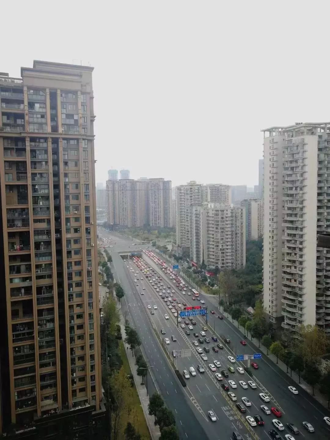 城市风情综合论坛_成都城市综合体检_城市河道污染成因及综合治理方案研究