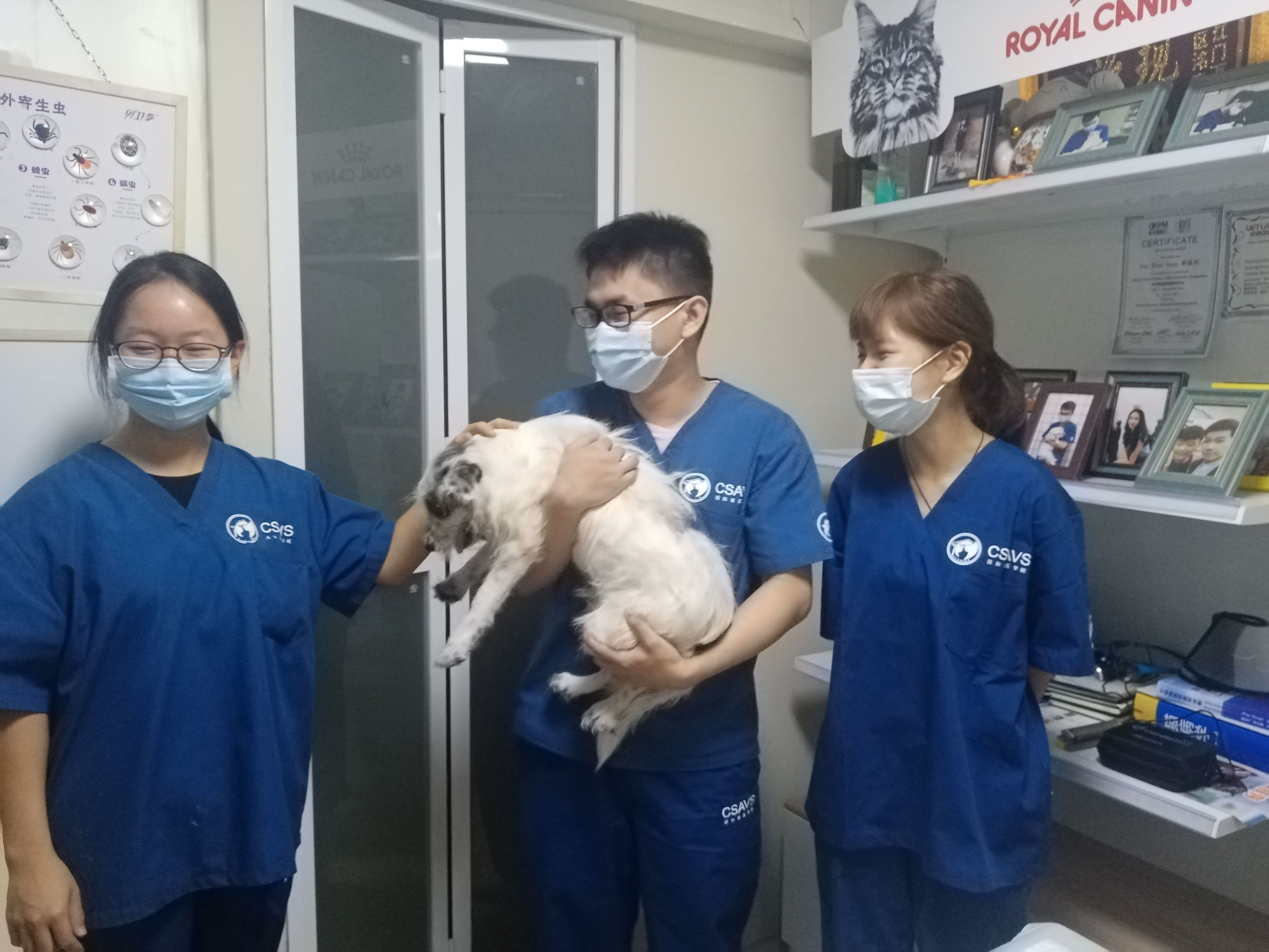 医院小程序开发_如何开发手机小程序_微信小程序 开发文档