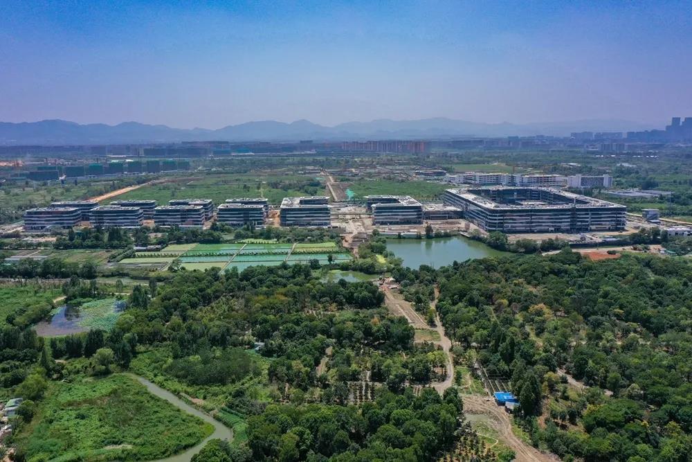 浙大冰虫 公司浙大辟谣_浙大一 阿里_李贞贤阿里阿里