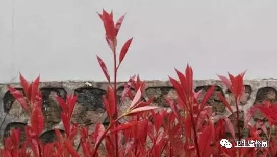 广东省医保联网医院_电梯物联网规范_互联网医院 规范