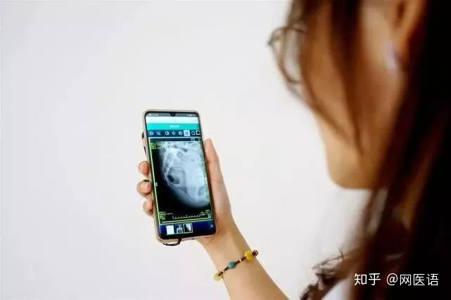 开展放射诊疗的医疗机构每年_医疗机构未开展诊疗活动_不得对首诊患者开展互联网诊疗活动