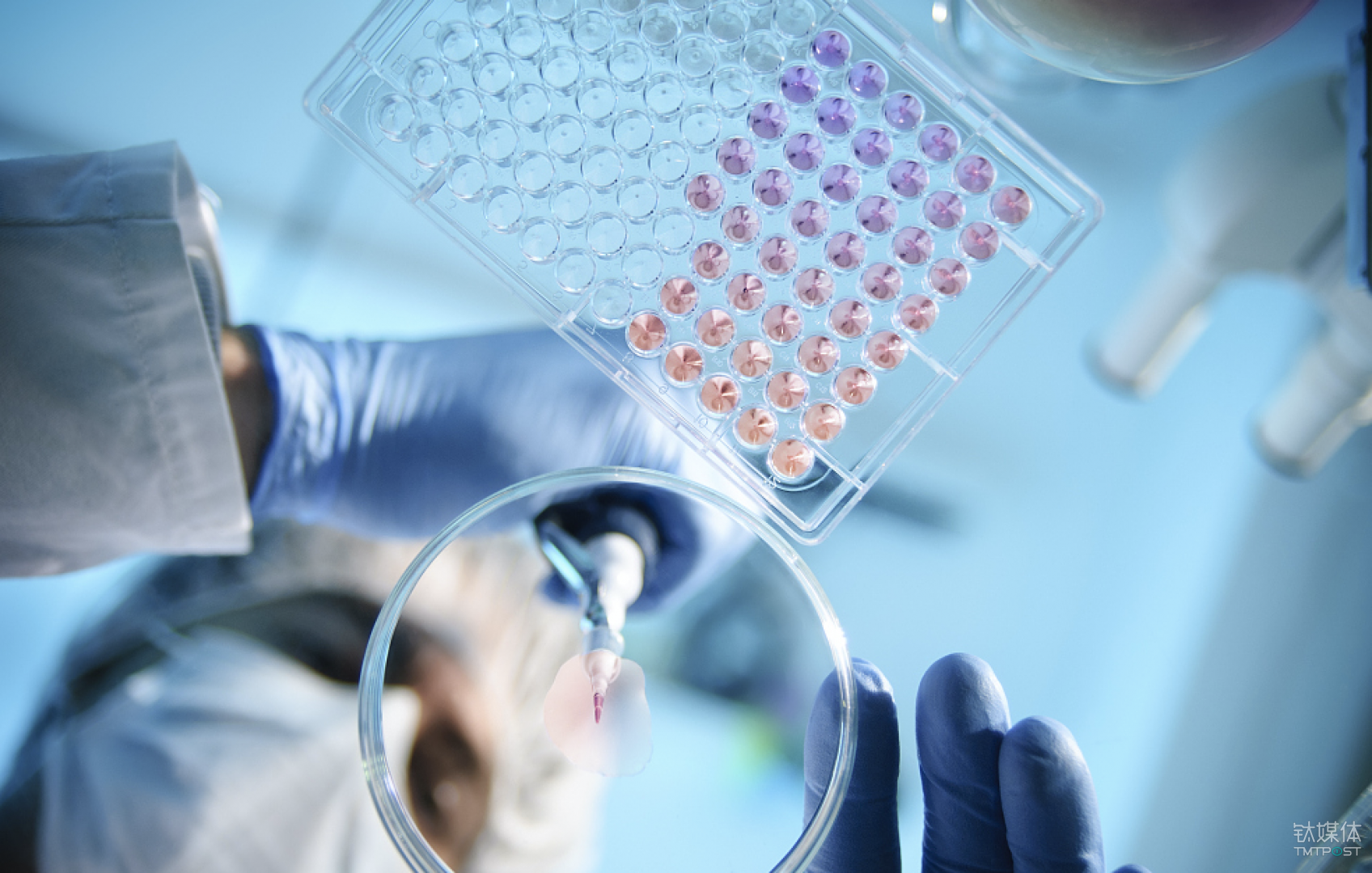 何成彦等一本书解决女性身体养护问题^^^一本书解决男性身体养_智慧医疗问诊系统解决了什么问题_中国移动互智慧家庭智慧医疗