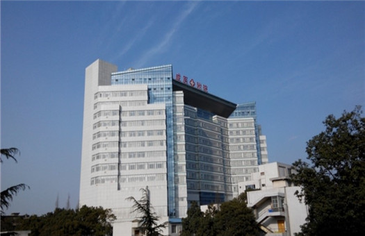 城市风情c9综合论坛_成都城市之音10周年城市至尊音乐盛典在哪看_成都城市综合体检