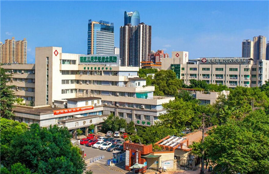成都城市之音10周年城市至尊音乐盛典在哪看_城市风情c9综合论坛_成都城市综合体检