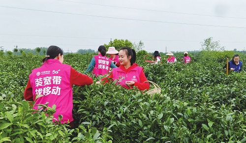 郝万山说健康顺应自然的生命规律的养生智慧_思八达周易领24健康智慧笔记_农村智慧健康站