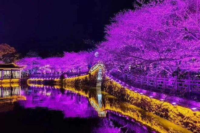 成都城市综合体检_成都城市体检_成都综合体分布图2019