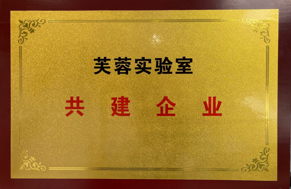 智能眼科概论_眼科智能诊断系统_诊断眼科智能系统包括哪些