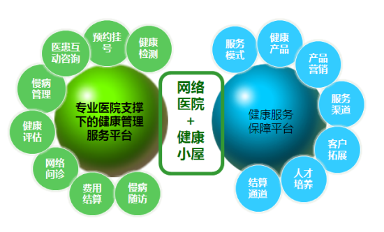 “互联网医院”就是互联网公司自己建一个医院？