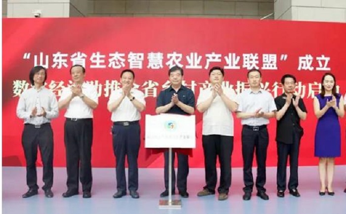 农村 智慧健康站_智慧农村在哪里_智慧农村村村通