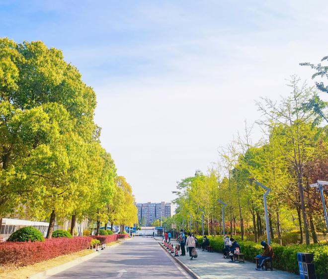 互联网医院 风险隔离_医院隔离线_医院隔离区域划分