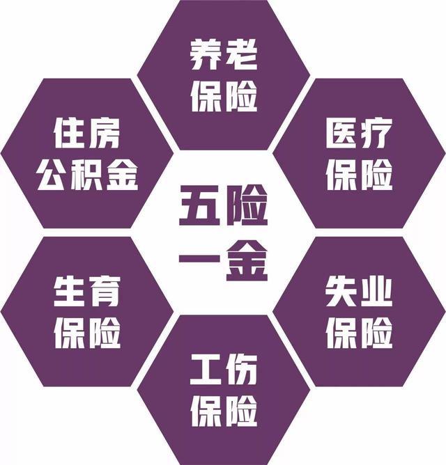 互联网医院相关政策法规_互联网医院政策法规_法规联网医院政策相关规定